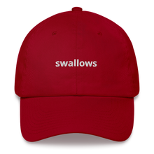 Load image into Gallery viewer, Swallows Dad Hat
