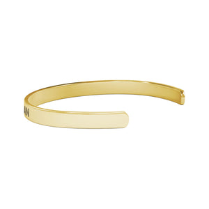 Honorary Gay Man Bracelet