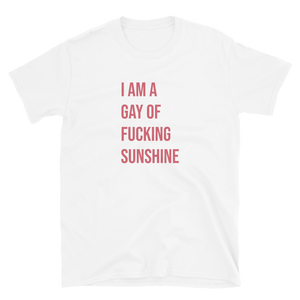 I Am A Gay Of Fucking Sunshine Tee