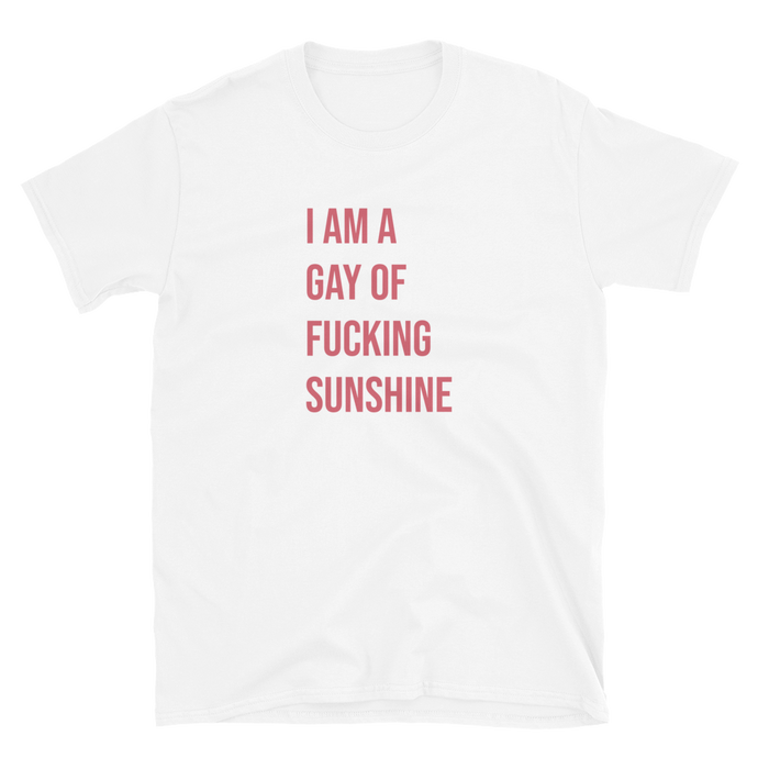 I Am A Gay Of Fucking Sunshine Tee
